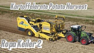 Kartoffelernte 2024  Ropa Keiler 2 Potato Harvest 