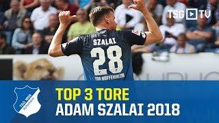 TSG Hoffenheim - Top 3 Goals Adam Szalai 2018