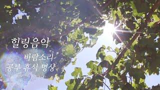 바람에 흔들리는 나뭇잎소리& 힐링음악 - 3시간 (자연 휴식 수면 명상 공부)