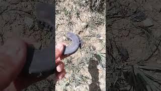 mıknatıs taşı /manyetit/magnet stone