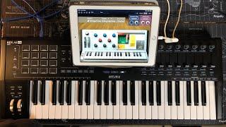 Korg Module Pro - NEW Lo-Fi House IAP Expansion Pack - Live iPad Demo