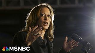 ‘Democrats being Democrats’: Michael Steele pushes back on questions over Harris’s campaign efforts