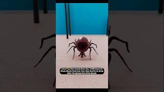 How do ticks suck blood?