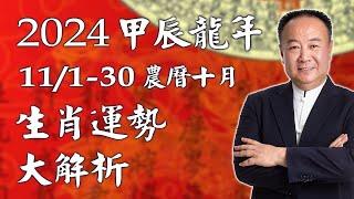 謝沅瑾老師──2024/11/1-11/30 (甲辰龍年農曆十月) 生肖運勢大解析