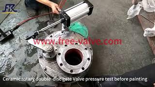 Pneumatic ceramic double disc gate valve cylinder test