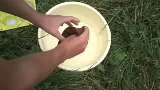Ice bucket Challenge ALS/Umeloe TV/Goldebrust/Roman Ursu[Gophervid]