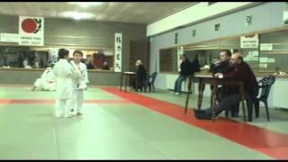 ari gele wimpel
