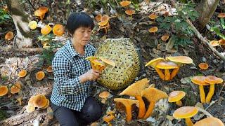 半坡上遍地奶浆菌，炒炸蘸拌炖做一桌，鲜美奶黄的蘑菇大餐|Lactarius Volemus【闽湖阿嬷Fujian Grandma】