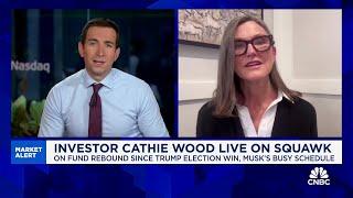 'We have a volatile fund': Cathie Wood responds to criticism about Ark Invest