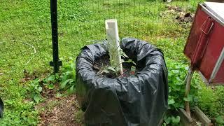 After the storm did the garden survive