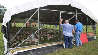 Raising 20,000 Chickens On Pasture [COMPLETE]