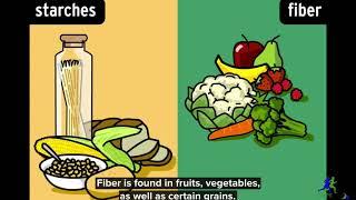 Carbohydrates-Brainpop