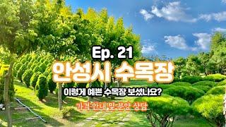 Ep.21 꿈 속에 들어온 것 같은 예쁜 수목장/가격 안내/박혜수 실장(01088078011)