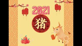 2021 Chinese Horoscope Outlook - Boar [生肖猪2021牛年运势] | The Art Of Blessing