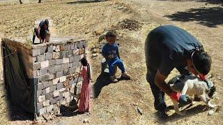 Zahra and Massoud's cooperation in completing the roof cement