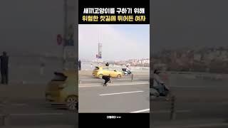 고양이를 구한 여자