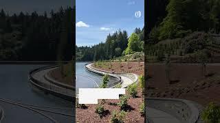Massive Washington Park reservoir redo includes public promenade, reflecting pools