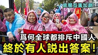 爲何全球都在排斥中國人？墻内終於有人敢説出答案，中國底層互害加劇