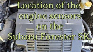 Location of the engine sensors on the Subaru Forester SK.