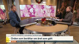 Swiftiepappa, rawdogga och soft girl – här är årets nyord | Nyhetsmorgon | TV4 & TV4 Play