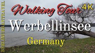 Werbellinsee - Walking Tour | Germany 4K 