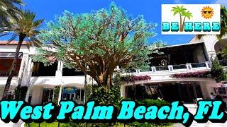 BE HERE: 5 Fun and Exciting Attractions to Visit near West Palm Beach, FL