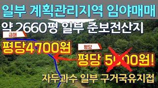 가격인하임야매매 평당4700원 일부계획관리지역 약2660평 포함 구거국유지접 의성신공항수혜지역 경사도15도 수종변경가능특용작물재배가능 총28105평(92909㎡)세상사는 부동산