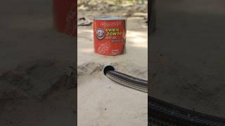 Easy snake trap using can & pvc #creativesnaketrap