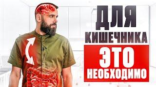 Кишечник на 90% зависит именно от ЭТОГО! (Научно доказано)