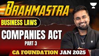 Companies Act - Part 3 | Business Laws | CA Foundation Jan 2025 | AIR 42 CA CS Shantam Gupta