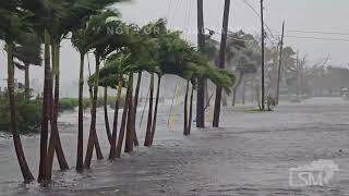 10-09-2024 Venice, Florida - Hurricane Milton - Storm Surge Nearing Homes - Strong Winds