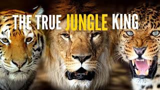 The Lion's Royal Deception: Unveiling the True King of the Jungle