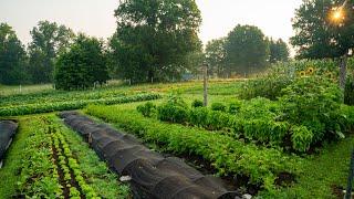 Regenerative Agriculture on a Small Scale | What it Looks Like