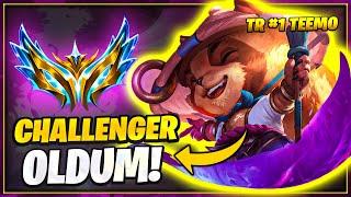 FİNAL! TEEMO İLE CHALLENGER OLDUM!