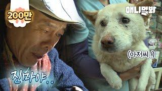 잃어버렸던 강아지를 찾은 남자 잠시 후 충격적인 사실을 알게 되는데..ㅣMan Who Found His Missing Dog Learns About A Shocking Truth