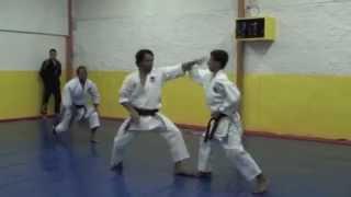 Ivad Karate - Bassai Dai Bunkai