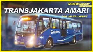 MENGGABUT KELILING JAKARTA MALEM-MALEM  | Trip by TransJakarta AMARI (Angkutan Malam Hari)