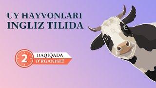 Uy hayvonlari (Domestic Animals)