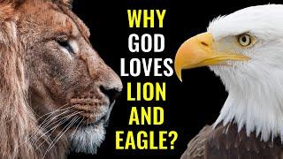 Why God Identifies Himself with Lion and Eagle? | Insider Wisdom