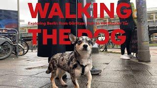 Dog Walk: Berlin from Görlitzer Park to Kottbusser Tor #RescueDog #Berlin #Chihuahua #cinematic