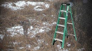 Deer Hunting Strategy - Step Ladder