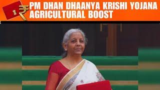 PM Dhan Dhaanya Krishi Yojana: Boosting Agri Productivity | Nirmala Sitharaman Announces Plan |News9