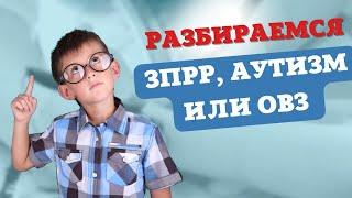 Путаница с диагнозами. Аутизм, ЗПР или ОВЗ. Что делать? #autism #реацентркалининград