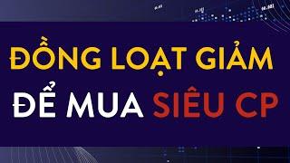 CỔ PHIẾU GIẢM ĐỒNG LOẠT - THỜI ĐIỂM VÀNG ĐỂ BẮT ĐÁY HAY RỦI RO?