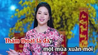 (KARAOKE - BEAT CHUẨN) Hạnh Phúc Đầu Xuân - Hoàng Hải