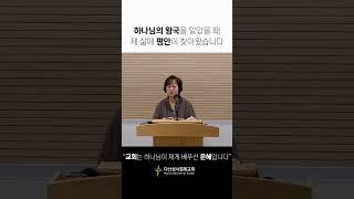 하나님의 왕국을 알았을 때, 제 삶에 평안이 찾아왔습니다.
