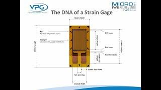Strain Gage Sensors in a Nutshell – Everything You Need to Know