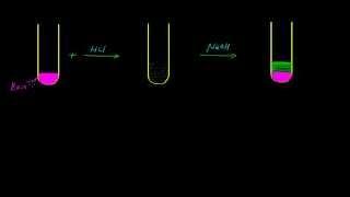 Base - Detection and Confirmation (Practical Organic Chemistry)