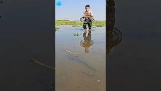 Village Beautiful Polo Fishing  Amazing Fishing In Bil । (part -10) #best #shorts #fishing #fish