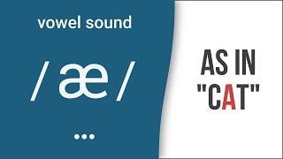 Vowel Sound / æ / as in "cat" - American English Pronunciation